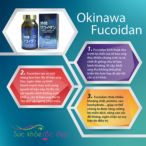 3 cơ chế tác động của Okinawa Fucoidan 180 viên