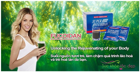 Tác dụng của Super Fucoidan giúp ngăn ngừa quá trình lão hóa