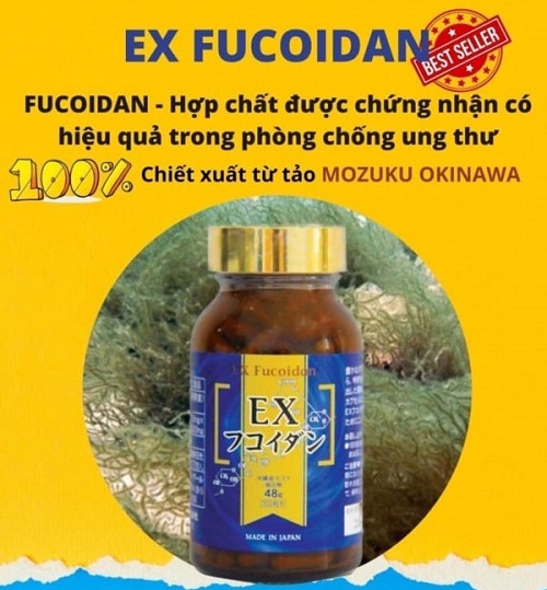 tảo nâu ex fucoidan 