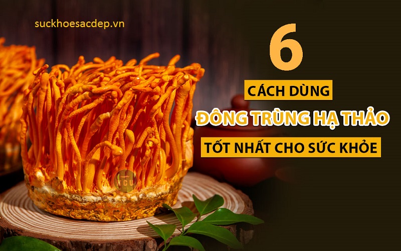 cach-su-dung-dong-trung-ha-thao