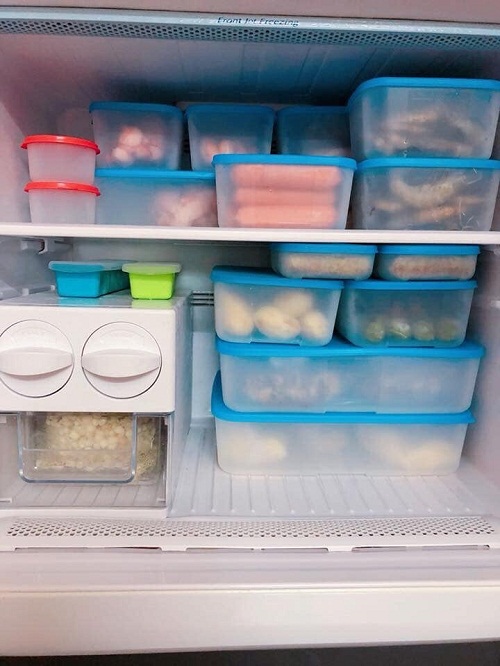 hộp nhựa freezermate jumbo set 16 được xếp gọn gàng trong ngăn đông tủ lạnh