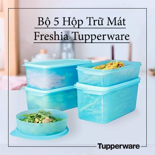 bộ 5 hộp trữ mát freshia tupperware