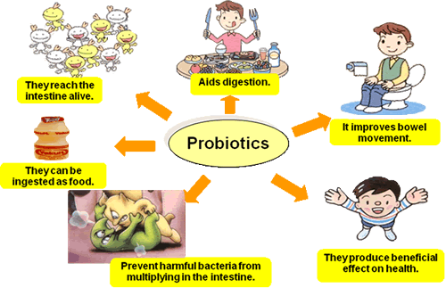 Prebiotic & Probiotic hỗ trợ hiêu quả các vấn đề đường ruột một cách hiệu quả nhất