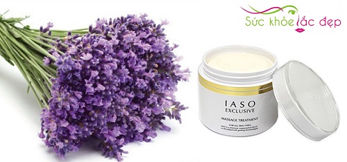 Hoa oải hương - Thành phần trong kem massage mặt IASO