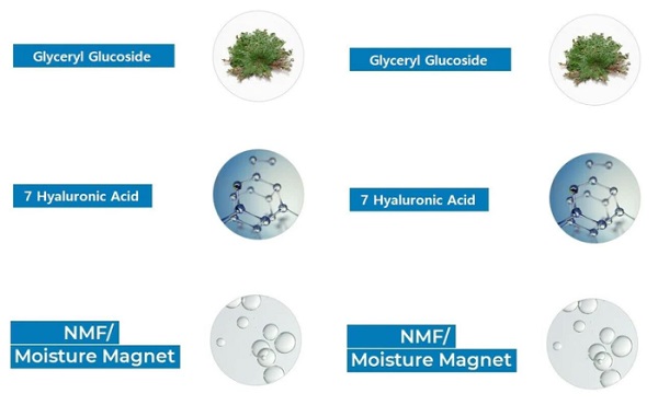 Thành phần nổi bật trong kem dưỡng ẩm Aquaporin Cream 