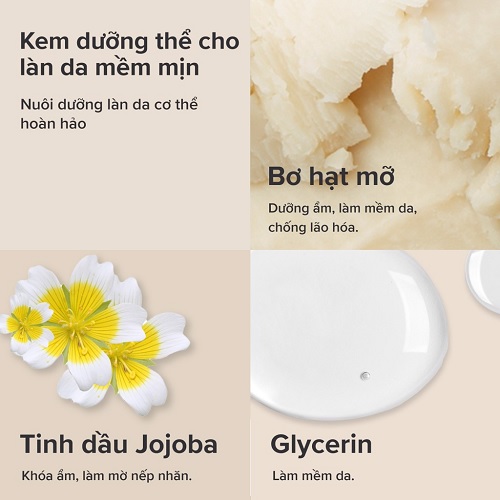 paula’s choice daily replenishing body cream chứa các thành phần an toàn cho da