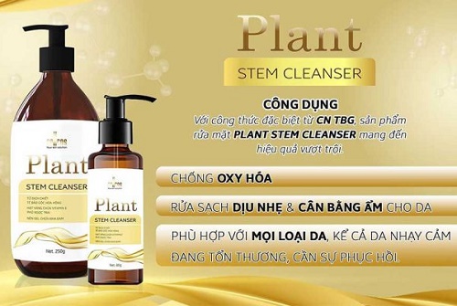 sữa rửa mặt plant stem cleanser giúp làm sạch sâu mà không gây hại cho da