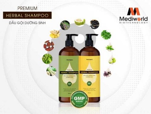 dầu gội dưỡng sinh nuôi dưỡng tóc premium herbal shampoo
