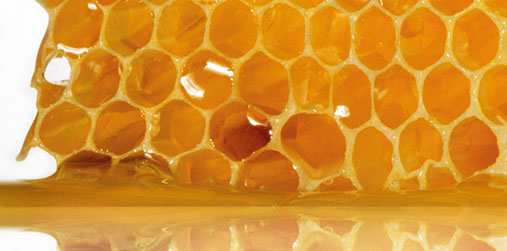 Propolis Careline 1000mg chiết xuất từ keo ong tự nhiên