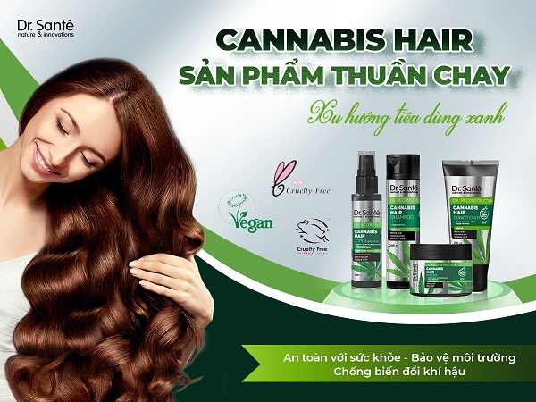 dầu gội phục hồi tóc hư tổn Cannabis Hair