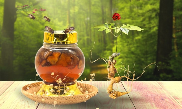 Sâm Ngọc Linh ngâm mật ong