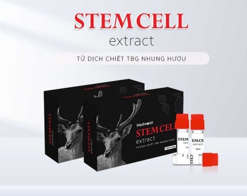 tế bào gốc nhung hươu stemcell extratct an toàn với mọi loại da