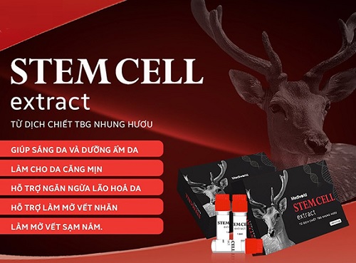 công dụng của tế bào gốc nhung hươu mediworld stemcell extratct