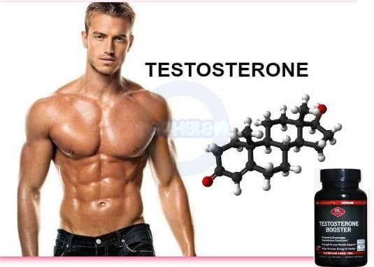 thuoc testosterone