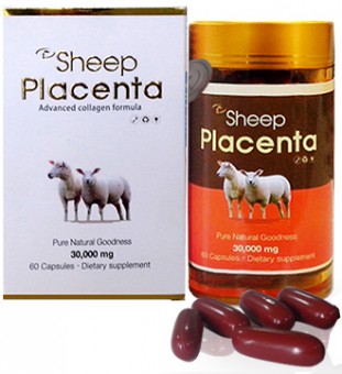 Nhau thai cừu Sheep Placenta