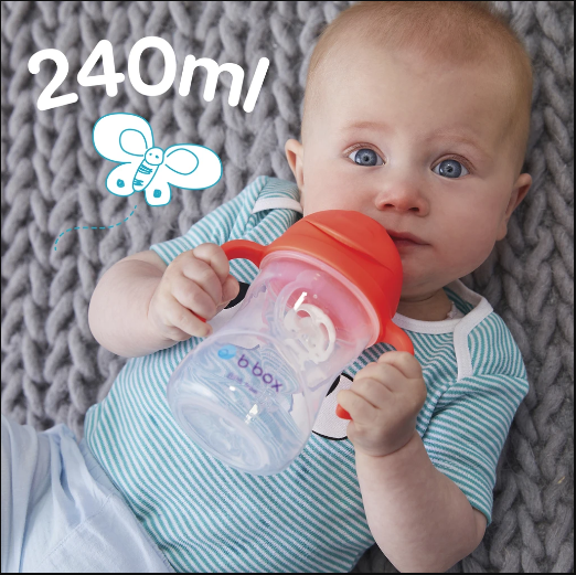 Bình tập uống nước cho bé 6 tháng B Box Sippy Cup 6m+