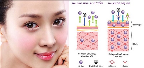Tác dụng collagen với mắt