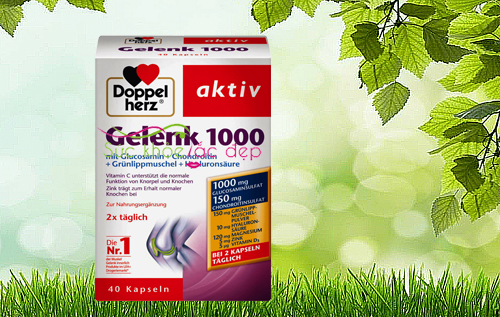 Sử dụng viên uống bổ khớp Doppelherz Aktiv Gelenk 1000  nên kết hợp với điều gì?