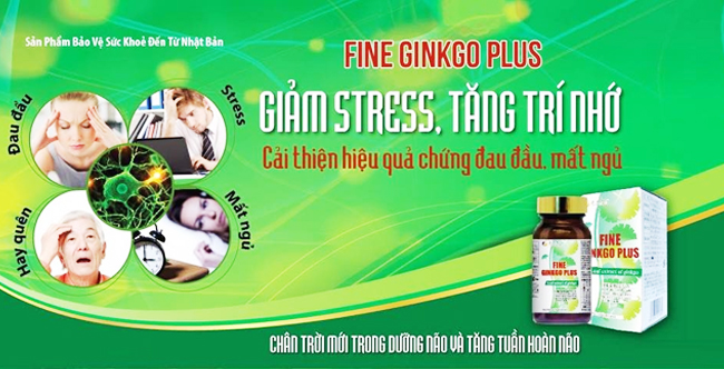 Fine Ginkgo Plus 5 in 1 giảm stress, cải thiện chứng mất ngủ