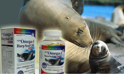 Tinh dầu hải cẩu Hàn Quốc New Omega 3 Harp Seal Oil
