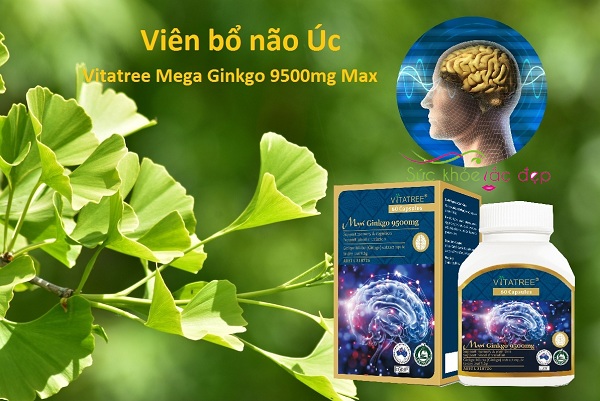 Viên uống bổ não Vitatree Mega Ginkgo 9500mg Max 60 viên chuẩn Úc
