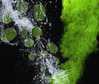 Nguyên liệu sản xuất thực phẩm chức năng tảo Spirulina