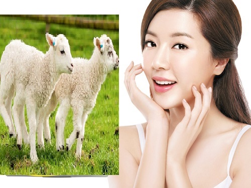 Top 8 Loại Viên Nhau Thai Cừu Tốt Nhất Hiện Nay Kèm Theo Bảng Giá Chi Tiết